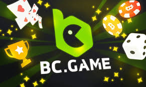 A Comprehensive Guide on How to Play BC.Game Poker