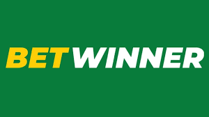 Discover BetWinner Sportsbook Your Gateway to Sports Betting Success