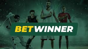 Explore the BetWinner Sign Up Process for Easy Betting