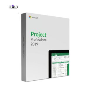 Microsoft Project Professional 2019