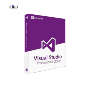 Microsoft Visual Studio 2022 Professional