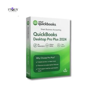 QuickBooks Pro Plus 2024 – 1 Device Lifetime
