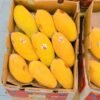 13781fea980807d679c8e15fd8620a07 Premium Fresh Mango – Product of Pakistan