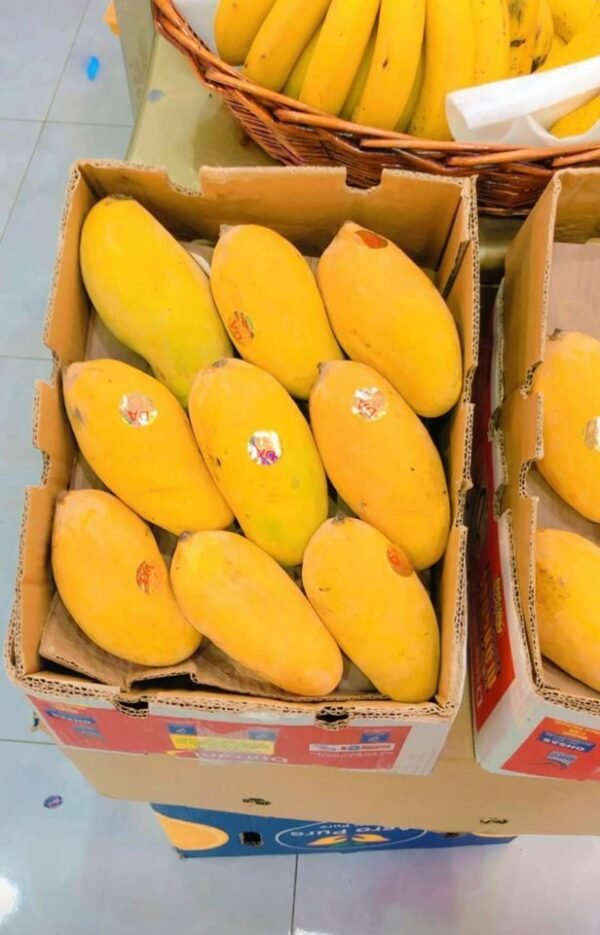 13781fea980807d679c8e15fd8620a07 Premium Fresh Mango – Product of Pakistan