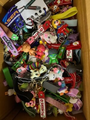 641642736_1253288100231677_8266879784536394327_n Premium Cartoon Keychains & Bag Charms – Wholesale Imported