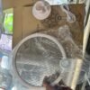 Vaelon Electric Mosquito Swatter V-980, V989 – Rechargeable Mosquito Killer