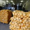 EXPORT-LOGISTICS-3 Premium Fresh Potato – Product of Pakistan
