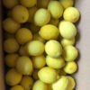Fresh-Lemon-1 Premium Fresh Lemon – Product of Pakistan
