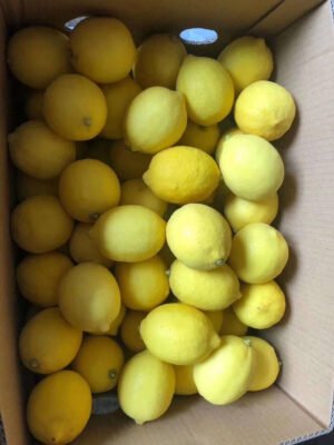 Fresh-Lemon-1 Premium Fresh Lemon – Product of Pakistan
