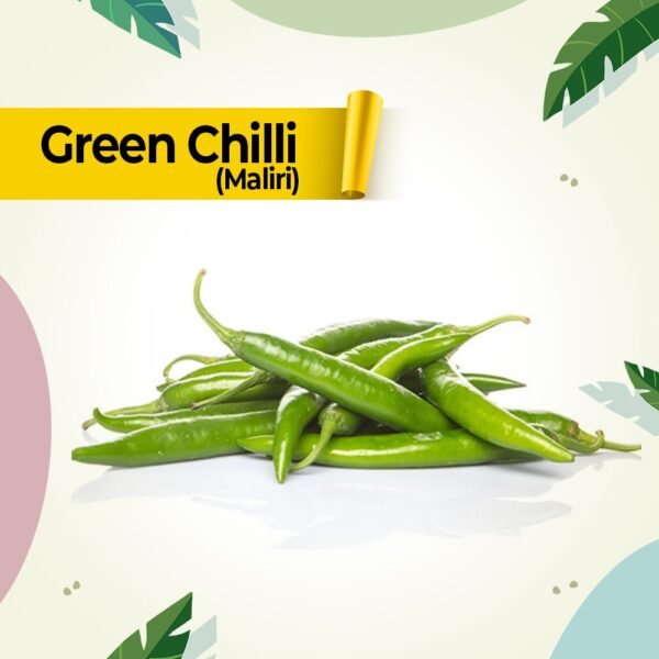 Green-Chilli-Maliri-1 Premium Fresh Green Chili – Product of Pakistan