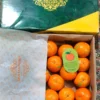 IMG-20260104-WA0007-scaled.jpg Premium Fresh Kinnow – Product of Pakistan