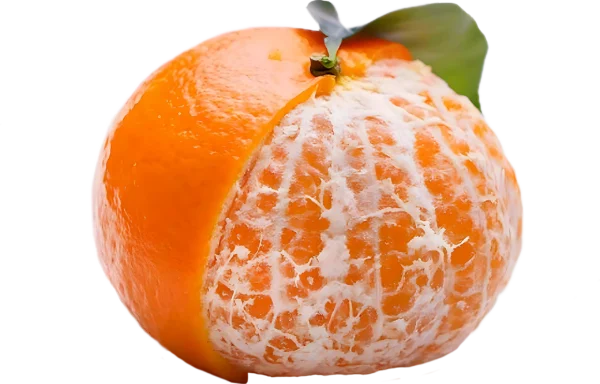 Kinnow-scaled Premium Fresh Kinnow – Product of Pakistan