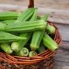 Okra Premium Fresh Okra (Lady Finger) – Product of Pakistan