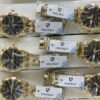 WhatsApp Image 2026-07-20 at 10.27.09 PM (1) Premium Watches Collection – Wholesale Imported
