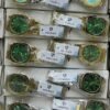 WhatsApp Image 2026-07-20 at 10.27.13 PM (1) Premium Watches Collection – Wholesale Imported