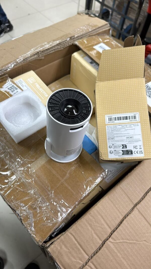Imported LED Projector – Hong Kong Liquidation Stock