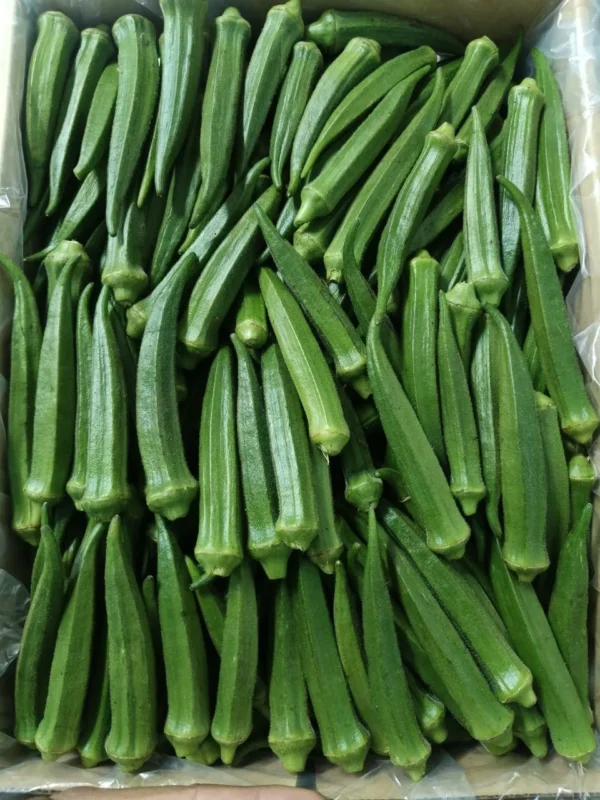 okra-3 Premium Fresh Okra (Lady Finger) – Product of Pakistan