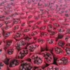 red-onions-pakistan Premium Fresh Onion – Product of Pakistan