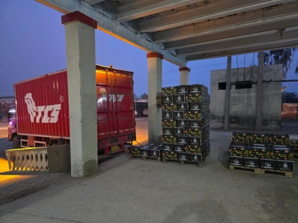 rn-image_picker_lib_temp_3f010b43-eaa8-49ef-8dac-8d7d1649579f Premium Fresh Kinnow – Product of Pakistan