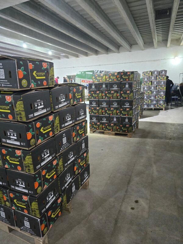 rn-image_picker_lib_temp_cb8910f3-1b6a-41dc-8d93-e4c29d3289d8 Premium Fresh Kinnow – Product of Pakistan