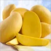 sindhri Premium Fresh Mango – Product of Pakistan