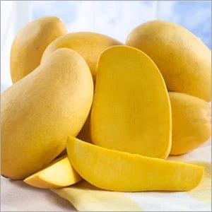 sindhri Premium Fresh Mango – Product of Pakistan